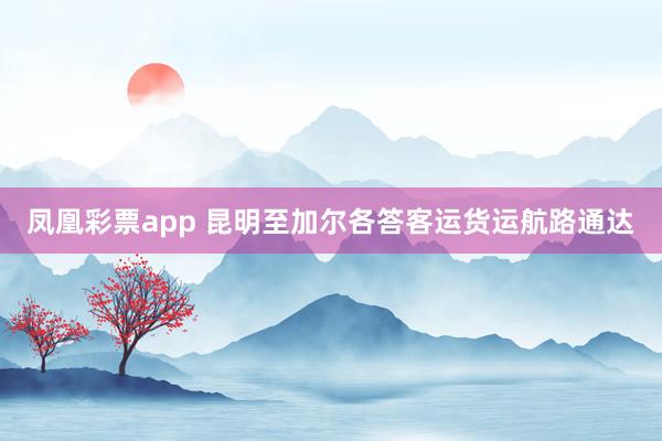 凤凰彩票app 昆明至加尔各答客运货运航路通达