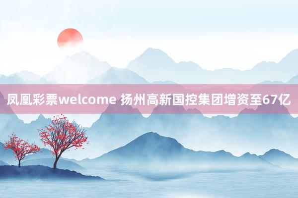 凤凰彩票welcome 扬州高新国控集团增资至67亿