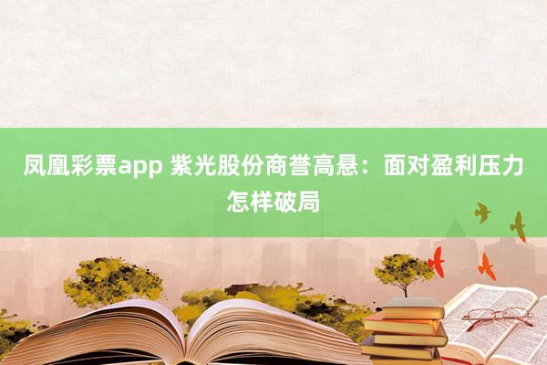 凤凰彩票app 紫光股份商誉高悬：面对盈利压力怎样破局