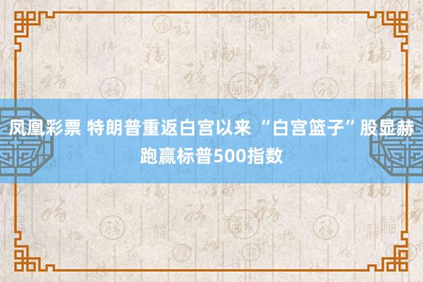 凤凰彩票 特朗普重返白宫以来 “白宫篮子”股显赫跑赢标普500指数