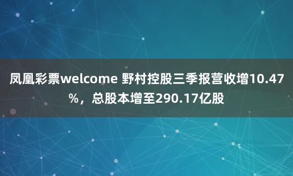 凤凰彩票welcome 野村控股三季报营收增10.47%，总股本增至290.17亿股