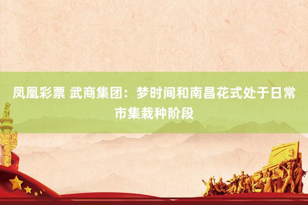 凤凰彩票 武商集团：梦时间和南昌花式处于日常市集栽种阶段
