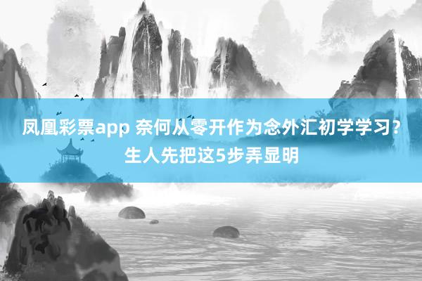 凤凰彩票app 奈何从零开作为念外汇初学学习？生人先把这5步弄显明