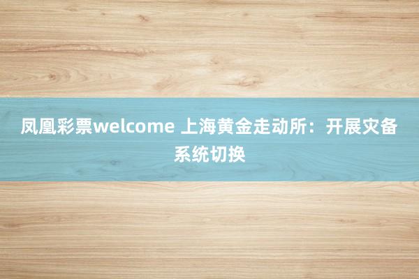 凤凰彩票welcome 上海黄金走动所：开展灾备系统切换