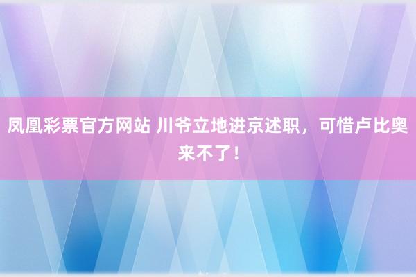 凤凰彩票官方网站 川爷立地进京述职，可惜卢比奥来不了！