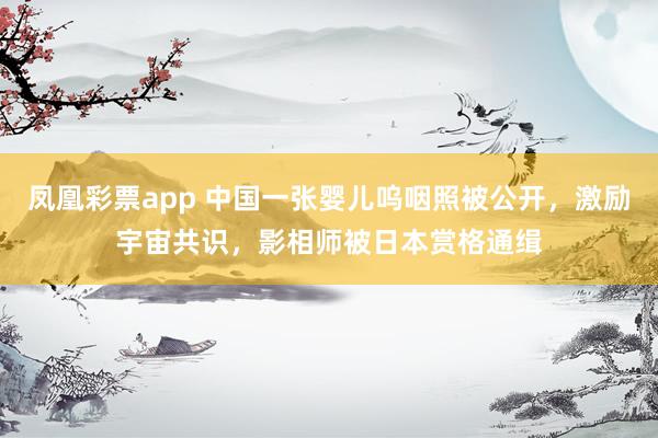 凤凰彩票app 中国一张婴儿呜咽照被公开，激励宇宙共识，影相师被日本赏格通缉