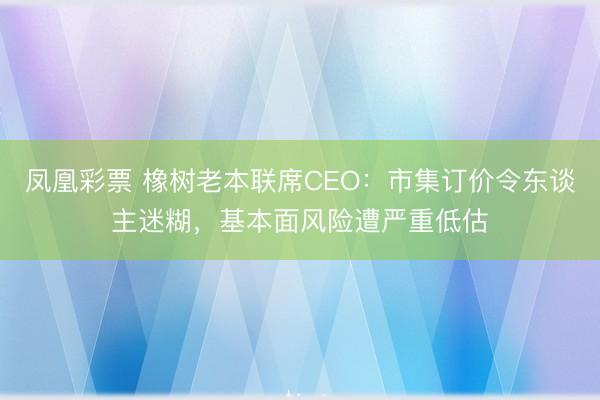 凤凰彩票 橡树老本联席CEO：市集订价令东谈主迷糊，基本面风险遭严重低估